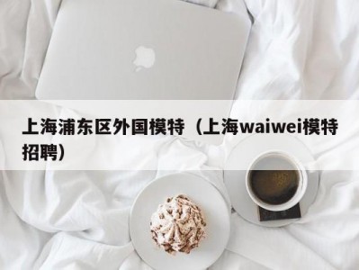 上海浦东区外国模特（上海waiwei模特招聘）