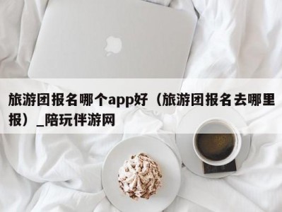 旅游团报名哪个app好（旅游团报名去哪里报）_陪玩伴游网